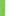 Kiwi Green