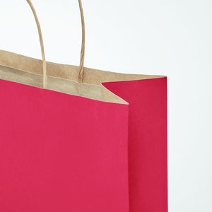 PAPER TONE L Eco-Friendly Large European Gift Paper Bag 90gsm - GiftRetail MO6174