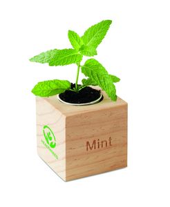 MENTA Urtepotte med mint - GiftRetail MO9337
