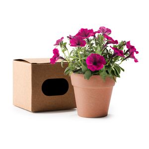 Stamina MC1000 - VOLEN Flowerpot with petunia seeds and biodegradable pot
