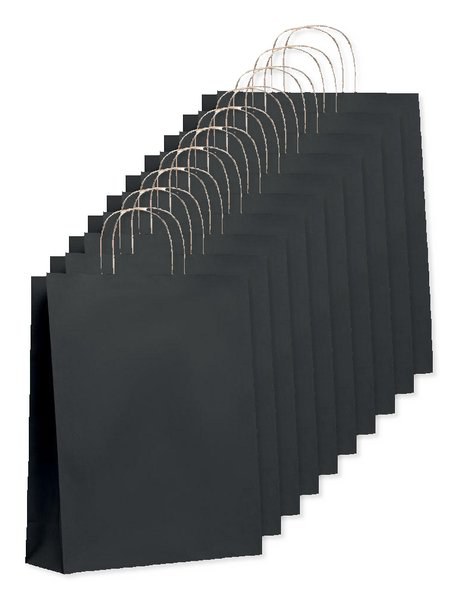 PAPER TONE L Eco-Friendly Large European Gift Paper Bag 90gsm