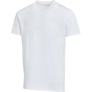Elevate 39665 - Balfour 200 g/m² short sleeve v-neck unisex OCS organic t-shirt